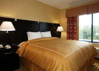 Hotel Comfort Near Tyndall Afb Panama City