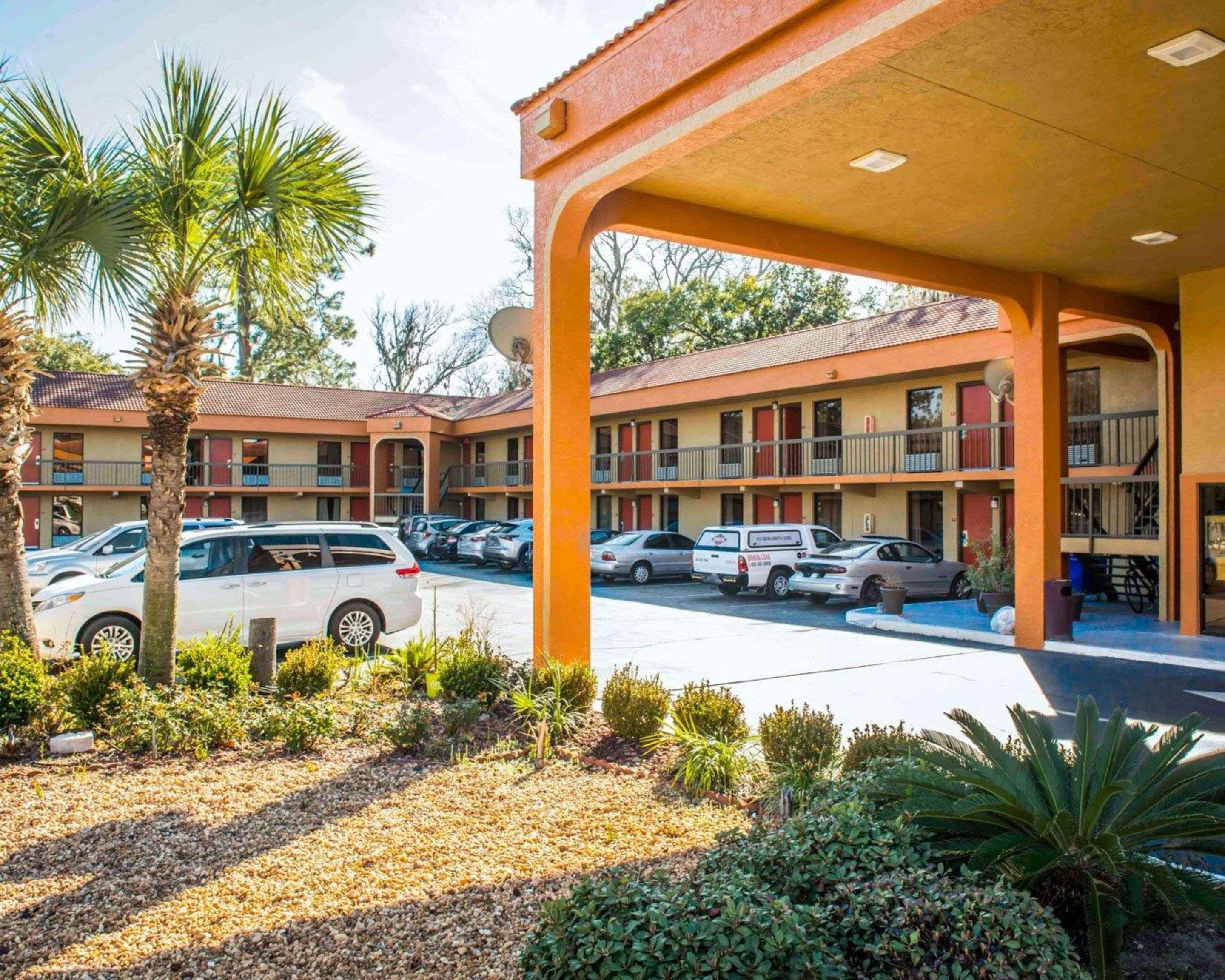 Lodge Econo