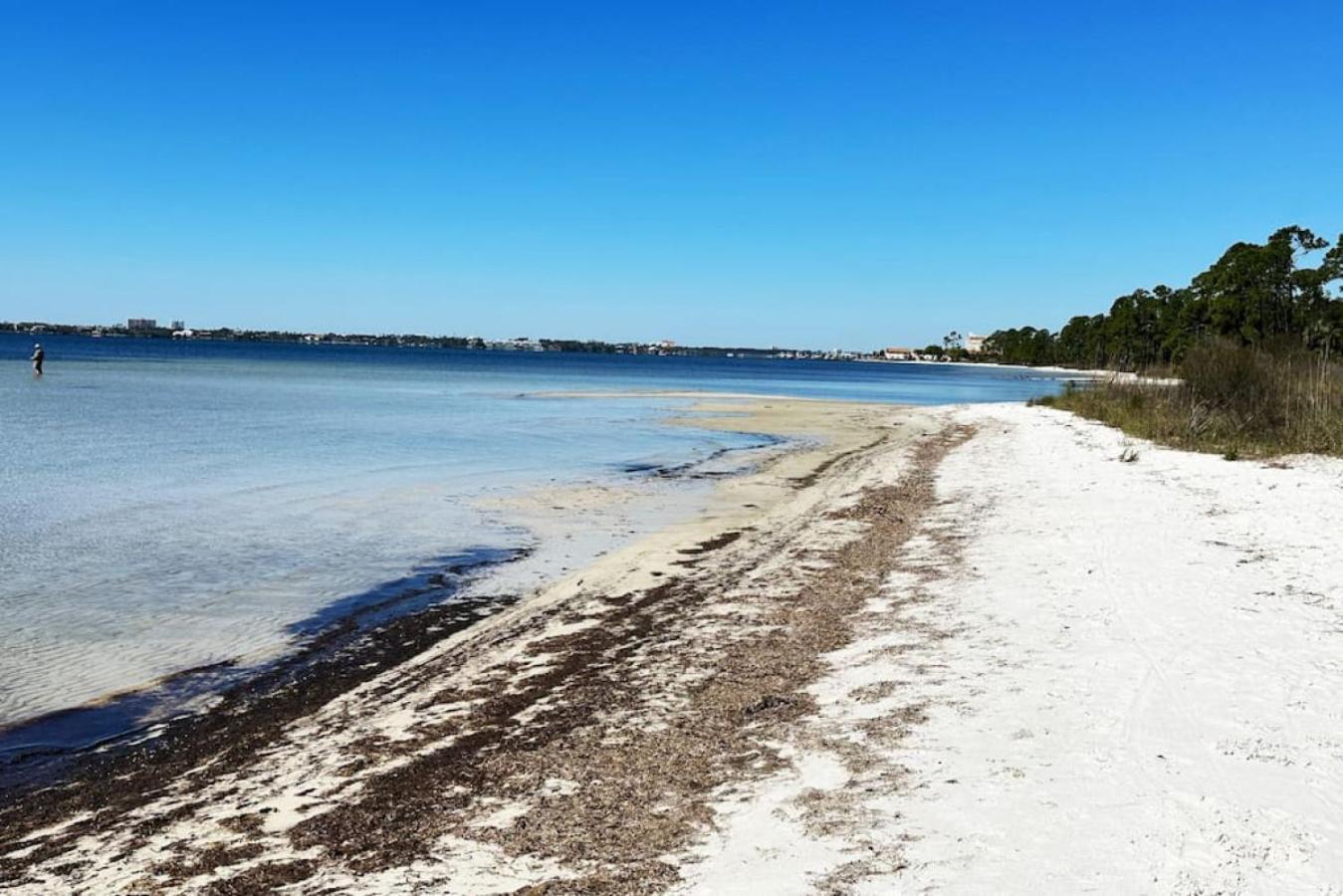 Down By The Bay W Hot Tub, 2 Blocks 2 Beaches, Game Room, Reading Nook, Dog-friendly, Historic Charm Panama City
