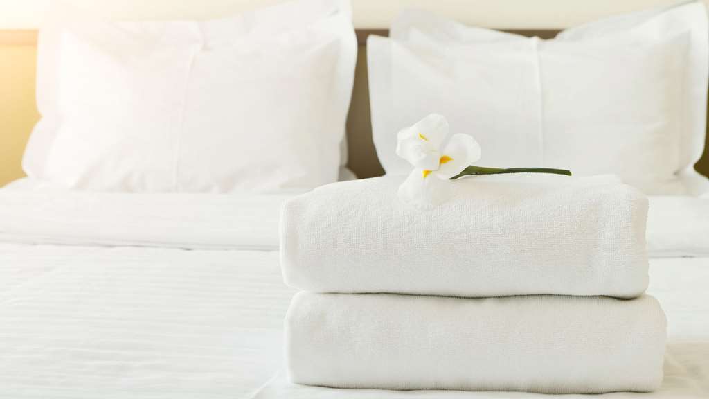 Motel American Quality 2*
