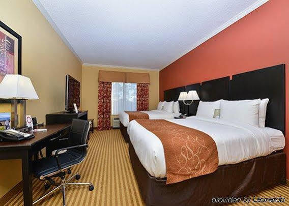 Comfort Near Tyndall Afb Hotel Panama City