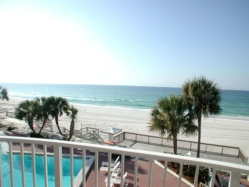 Palmetto & On The Panama City