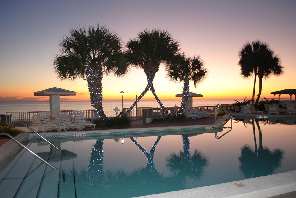 Palmetto & On The