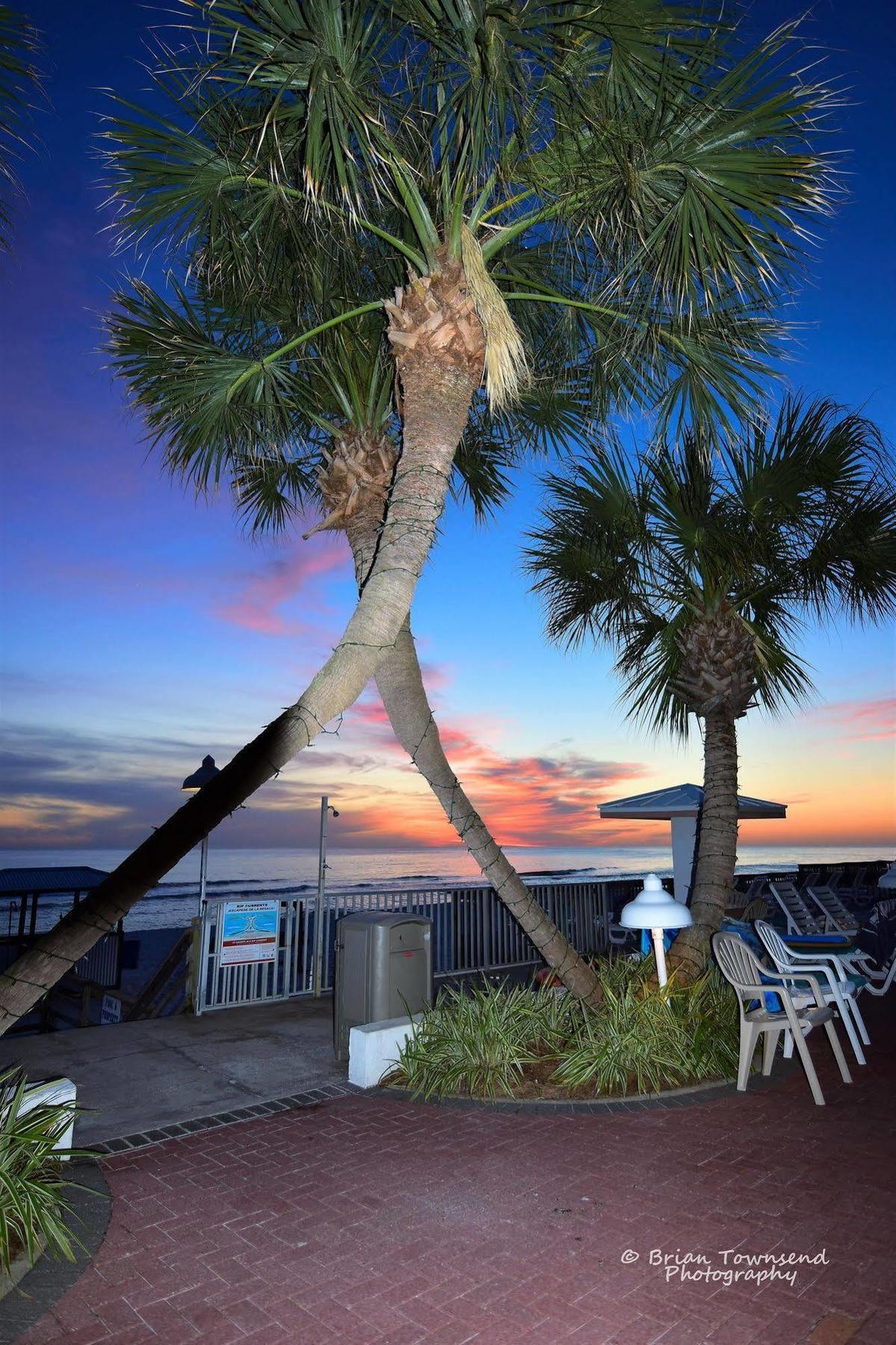 Motel Palmetto & On The Panama City